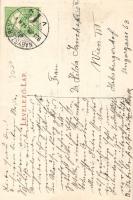 Kolozsvár, Múzeumkert pálmaház / palm house