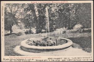 Kolozsvár, Múzeumkert vízirózsák medencéje / flowers (EB)
