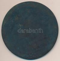 DN "Einstein" Br emlékplakett (92mm), jelzetlen, Cséri Lajos (1928-) műve T:2