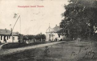 Ilosva főszolgabírói hivatal / officer building