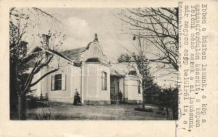 Sopron villa (kis szakadás / small tear)