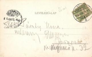 Kolozsvár, Egyetem utca / street