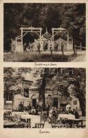 Szentes Széchenyi kert; Molnár Ferenc kiadása (fa)