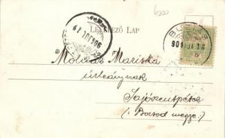 Buziásfürdő, vasútállomás / railway station