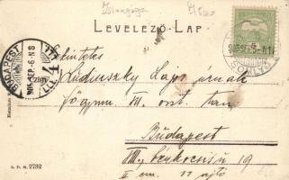 Szilágysomlyó, Rákóczi utca, zsinagóga; Heimlich K. kiadása / street