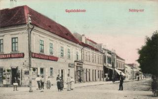 Gyulafehérvár, Sétánysor, Ifj. Baumann Nándor kereskedése / promenade, shop