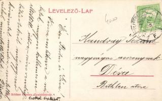 Gyulafehérvár, Sétánysor, Ifj. Baumann Nándor kereskedése / promenade, shop