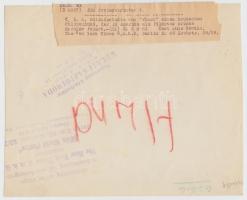 cca 1928-1929 Egy filmsztár német rendőrkutya portréja, feliratozva, 18x22 cm