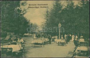 Oravica, bányavölgyi fürdőkert / spa, garden (wet damage)