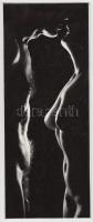cca 1960-1970 Balogh Ferenc: Vágyakozás, vintage fotóművészeti alkotás, aláírva, kartonra ragasztva, 24x9 cm
