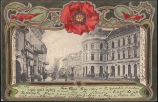 Sepsiszentgyörgy Art Nouveau, litho