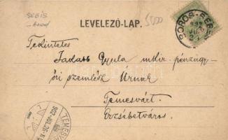 Borossebes, Uradalmi épületek, királyi curia / mansion buldings, royal apartment; floral