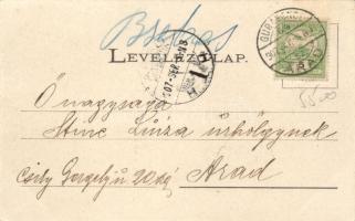 Borossebes, Községháza, szolgabíró hivatal / town hall, office