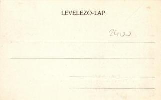 Fogaras, Olt-híd, Apafi-kastély / bridge, castle