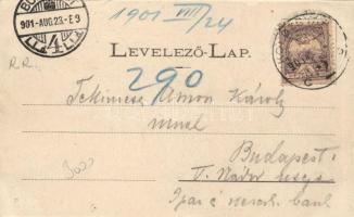 Kolozsvár, Nagy utca / street (EB)