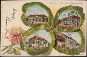 Fehértemplom állami főgimnázium, polgári leányiskola, fiúiskola, német iskola / grammar school, girl and boy school, German school; clover, Emb. litho; Gustav Wunder kiadása (EK)