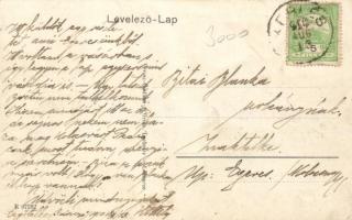 Szászlekence, Lekence, Lechnitz