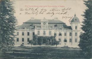 Nekcse, Pejacsevics-kastély / castle (EK)