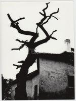 cca 1960-1970 Ismeretlen szerző: Kompozíció, vintage fotóművészeti alkotás, 24x18 cm