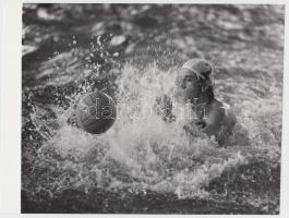1975 Farkas Tamás: Balla Balázs vízilabdázó az FTC-ben,  jelzetlen sportfotó; bemutatva a Magyarország ma című fotókiállításon 1975-ben, a Magyar Munkásmozgalmi Múzeumban; publikálva a kiállítás katalógusában; 18x22 cm