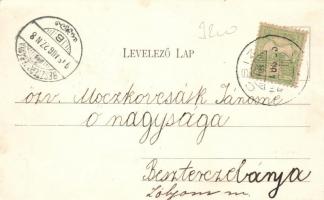 Csízfürdő, Margit pension; Fogel Mór kiadása