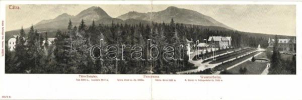 Tátraszéplak, Weszterheim; kiadja Feitzinger Ede, panoramcard