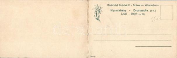 Tátraszéplak, Weszterheim; kiadja Feitzinger Ede, panoramcard