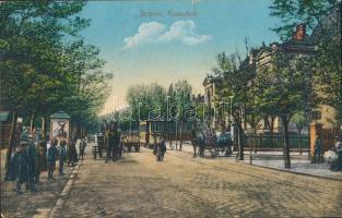 Sopron, Kossuth út, villamos, Piri Daniel kiadása (fa)