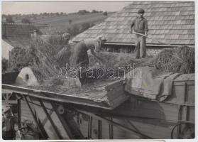 cca 1950-1960 Tiszavölgyi József vintage szociófotói, 4 db 13x15 és 13x18 cm-es méretben