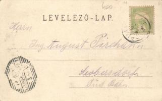 Savanyúkút-fürdő, Sauerbrunn; tenniszpálya / lawn tennis court