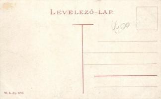 Beregszász, Bocskai utca, elemi iskola / street of school (Rb)