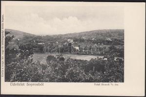 Sopron Felső-Lőwerek