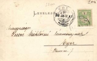 Beregszász, Zsazsa-lak; Farkas J. kiadása / villa