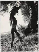 cca 1960-1970 Ismeretlen szerző: Kompozíció a természetben, finoman erotikus aktfotó / erotic photo, 24x18 cm