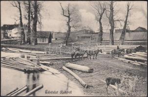 Rahó, fűrésztelep / sawmill (r)