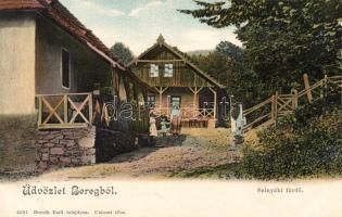 Szinyáki fürdő / spa