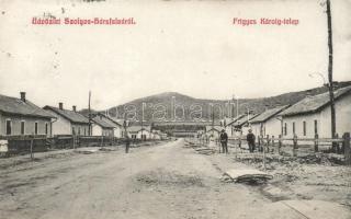 Szolyva-Hársfalva, Frigyes Károly telep; Berger Jenő kiadása