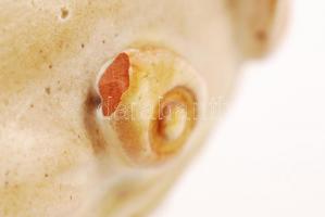 Kiss Roóz Ilona (1920-2010): Szakállas váza. Festett mázas kerámia, apró dérülésekkel, m:13 cm