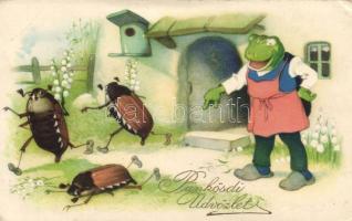 Pentecost, frog, bugs (EK)