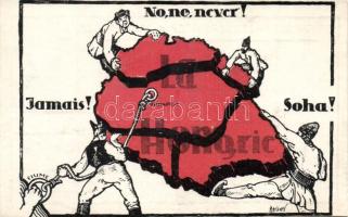 Hungarian map, irredenta, artist signed