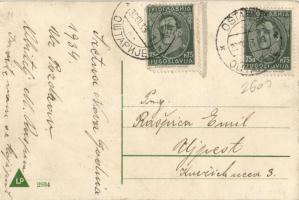 New Year, pigs, dwarf litho