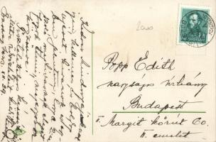 New Year, pigs, litho