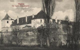Fogarasi vár / castle (small tear)