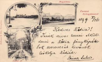 1899 Nyíregyháza, Megyeháza, Sóstói út, Art Nouveau (EK)