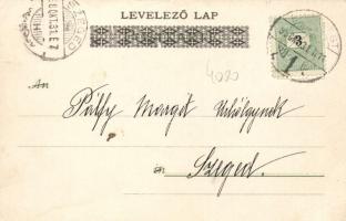 Frog band, humour 'Theo Stroefer's Kunstverlag, Aquarell Postkarte Serie V.' litho (E...