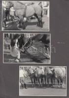 21 db fotó az 50-es évekből Budapest városképek, Hortobágy stb