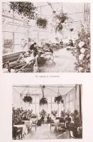 cca 1910 Dr. Szegő Kálmán szanatóriuma és vízgyógyintézete felnőttek és gyermekek számára Abbáziában...