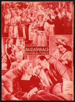 1934 Csinszkáról szóló cikkek, képek különböző újságokból, Megsárgult akták a vőlegény Adyról c. cikkel benne a párbaj Csinszka apjával