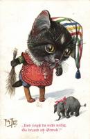 Cat, T.S.N. Serie 1425 s: Arthur Thiele