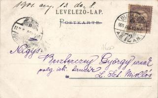 Ice skating accident, litho